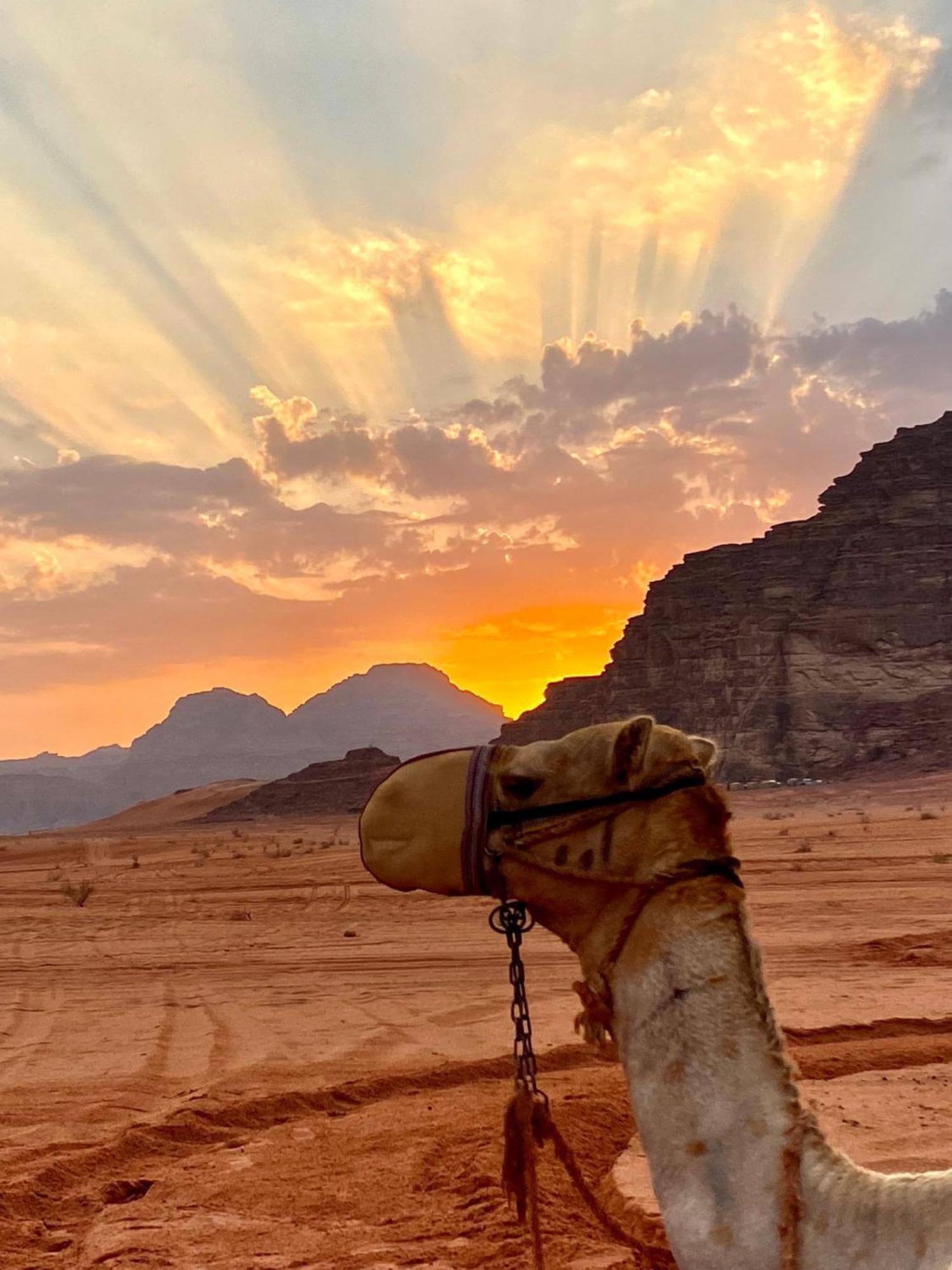 Rum Relaxation Luxury Camp Wadi Rum Eksteriør bilde